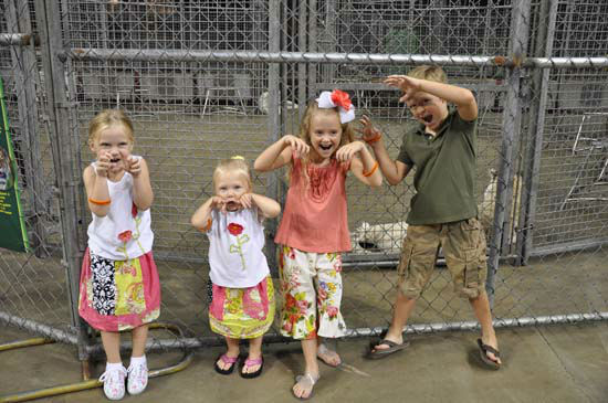 Images from the Ringling Bros. and Barnum and...